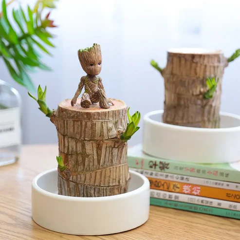 Urban™ Lucky Brazil Wood Potted Plant (Buy 1 Get 1 Free) - Image 3