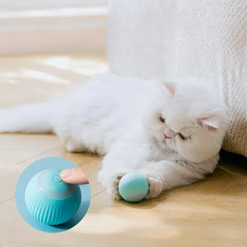 Urban™ CatSpin Ball