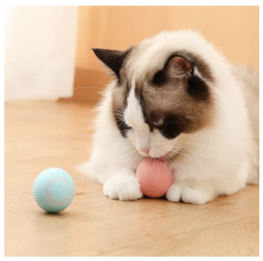 Urban™ CatSpin Ball - Image 10