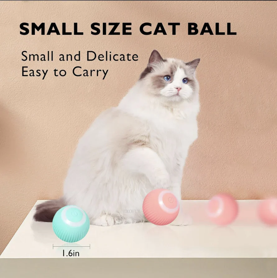 Urban™ CatSpin Ball - Image 11